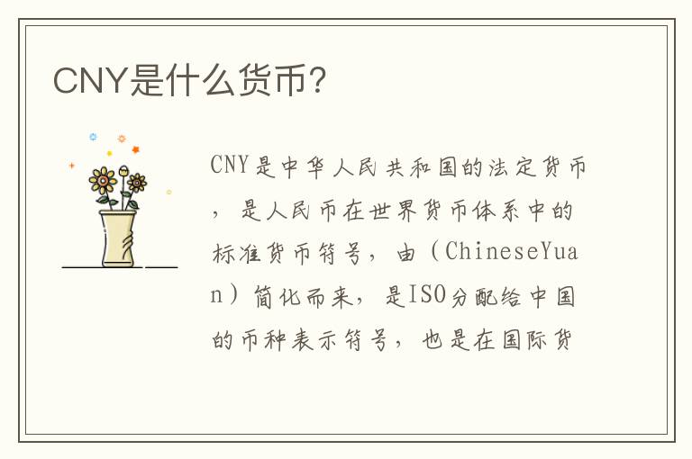 CNY是什么货币？