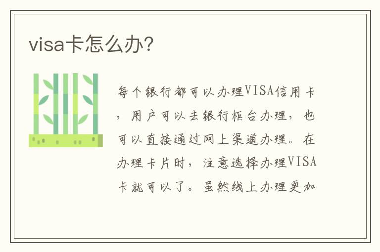 visa卡怎么办？