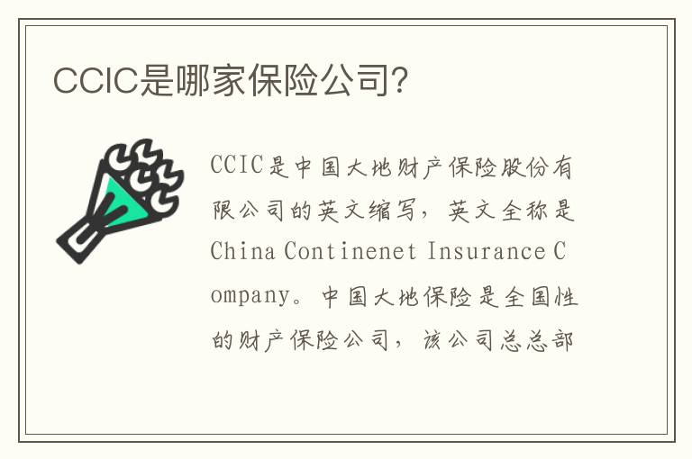 CCIC是哪家保险公司？