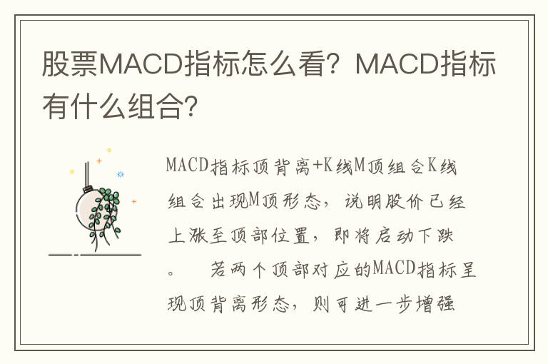 股票MACD指标怎么看？MACD指标有什么组合？