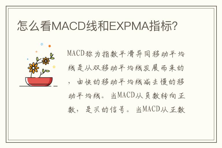 怎么看MACD线和EXPMA指标？