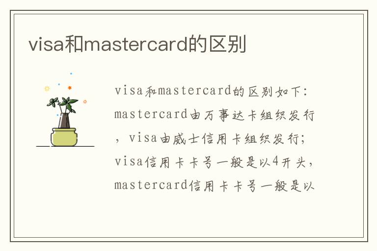 visa和mastercard的区别