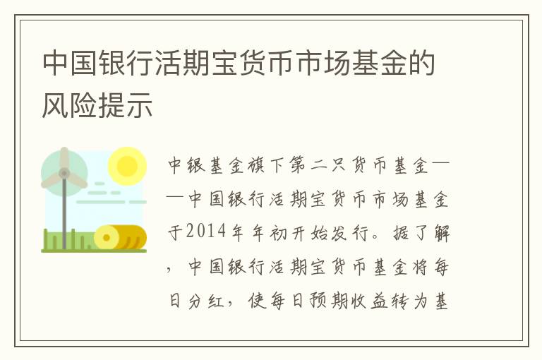 中国银行活期宝货币市场基金的风险提示