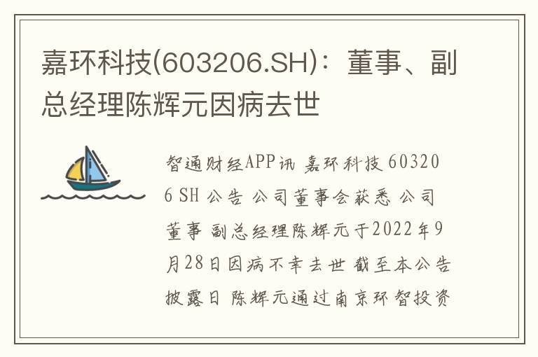 嘉环科技(603206.SH)：董事、副总经理陈辉元因病去世