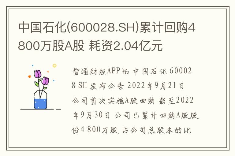 中国石化(600028.SH)累计回购4800
