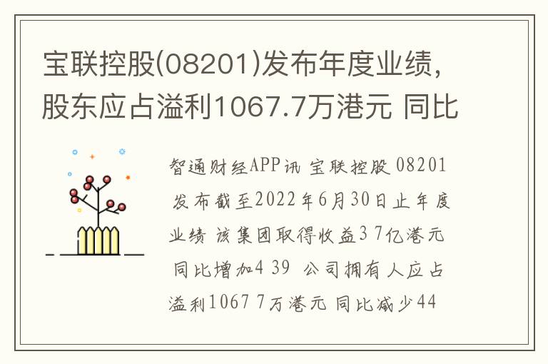 宝联控股(08201)发布年度业绩，股东