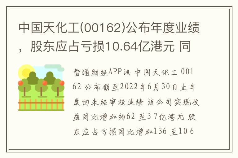 中国天化工(00162)公布年度业绩，股