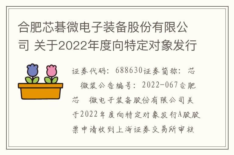 合肥芯碁微电子装备股份有限公司 关于2022年度向特定对象发行A股股票申请收到上海证券交易所审核问询函的公告