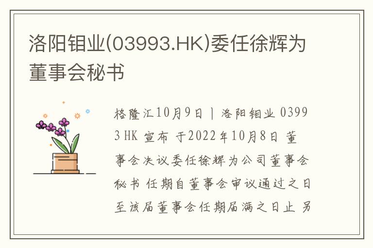 洛阳钼业(03993.HK)委任徐辉为董事会秘书